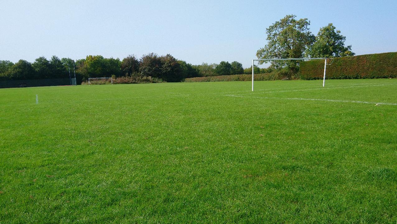 Picture of playing fields